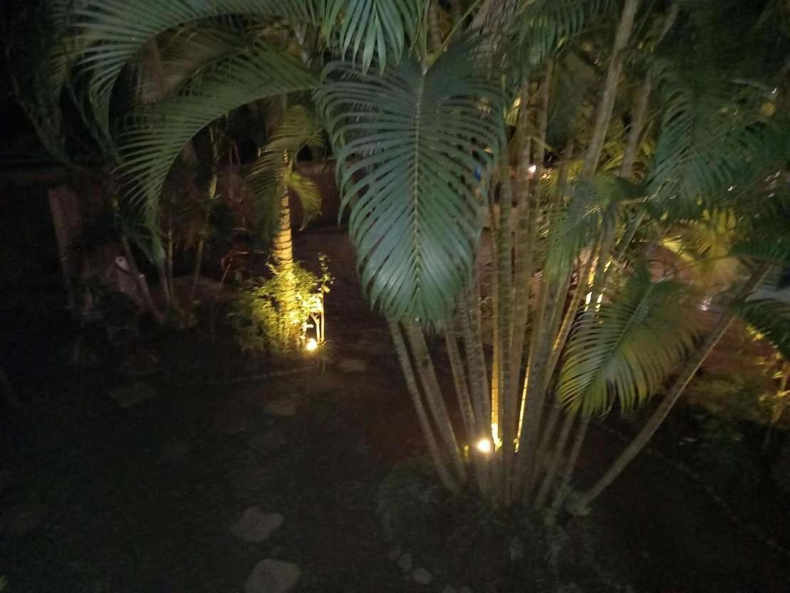 Oasis Palms Hotel Nadi Ngoại thất bức ảnh